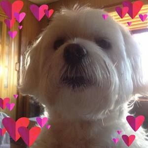 Meet your Posher, Scott